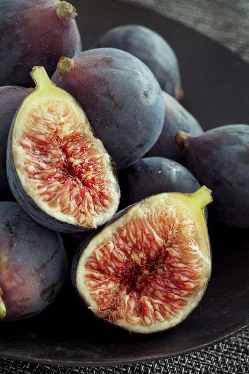 Chicago Cold Hardy Fig Tree - 1 Gallon Pot 3 Chicago Cold Hardy Fig Tree - 1 Gallon Pot