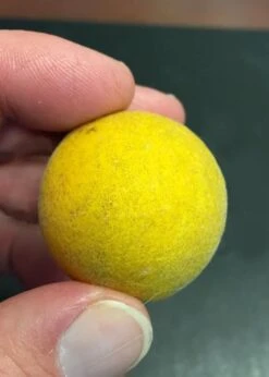 Flying Dragon Hardy Orange Tree - 7 Gallon Pot (3-4') -FRUIT TREES & PLANTS Sales Orange Flying Dragon 6