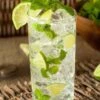 Mojito Mint Plant - 6 Pack Of Pint Pots -FRUIT TREES & PLANTS Sales mentha x villosa mojito mint 5